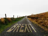 Small UK road with Brexit written on the asphalt